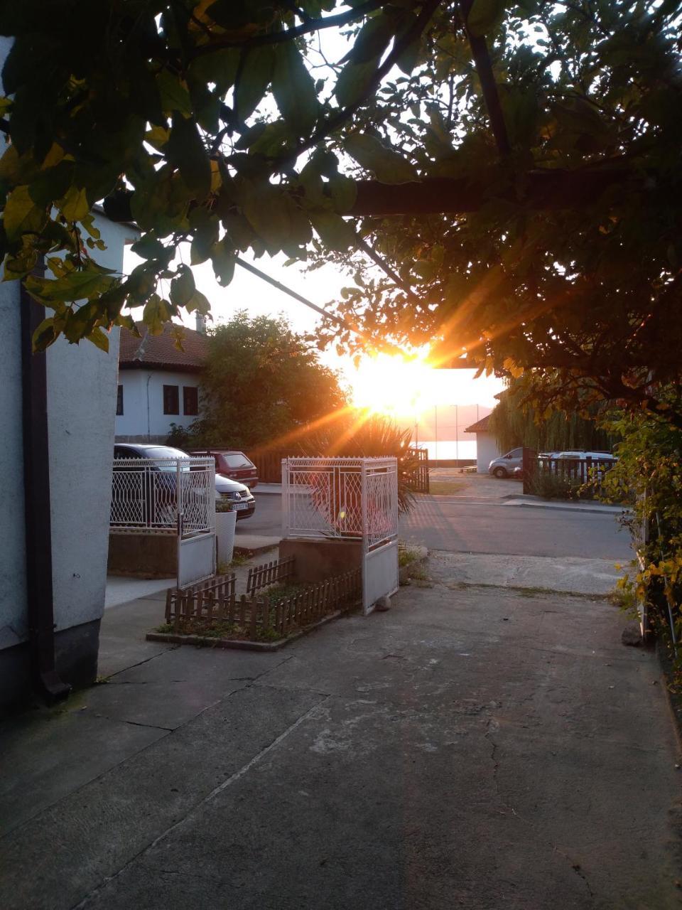 Hostel Trajan Donji Milanovac Exterior photo